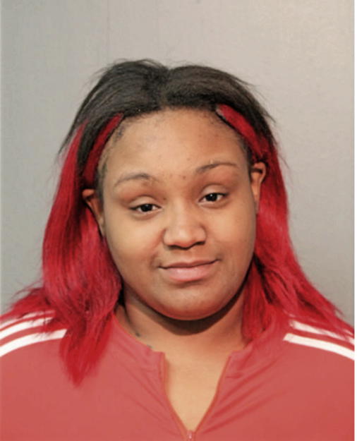 LIBERDY L JOHNSON, Cook County, Illinois
