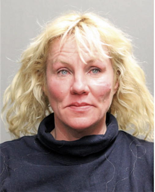 ELIZABETH G MALAVER, Cook County, Illinois
