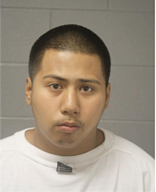 KARLO MANAN, Cook County, Illinois