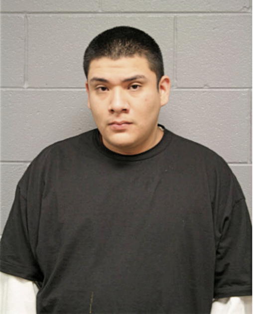 ELENO MEZA, Cook County, Illinois