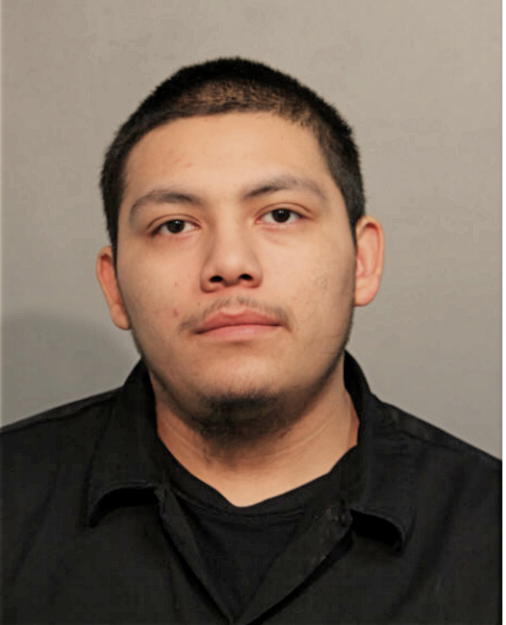 JOSE A MORALES-FLORES, Cook County, Illinois