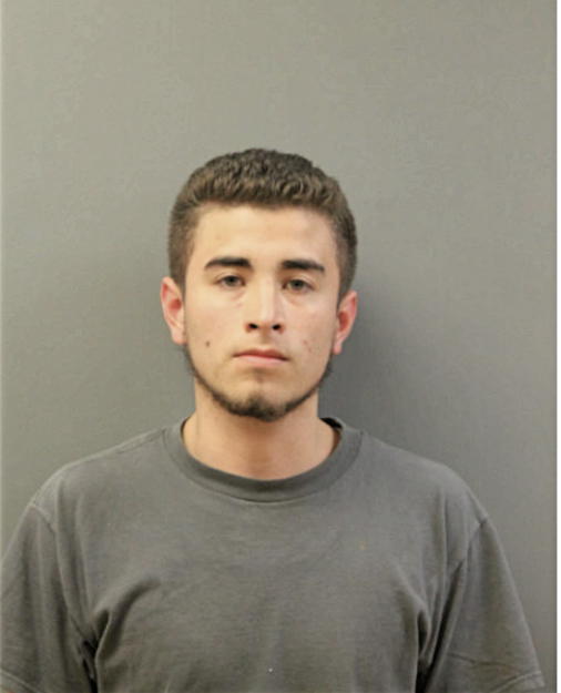 CESAR PEREZ-SANTANA, Cook County, Illinois