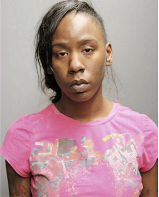 DELORES L RICE, Cook County, Illinois