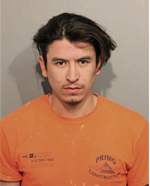 VICTOR B SILVA, Cook County, Illinois