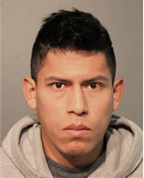 MARCO ANTONIO VALDEZ ASMAL, Cook County, Illinois