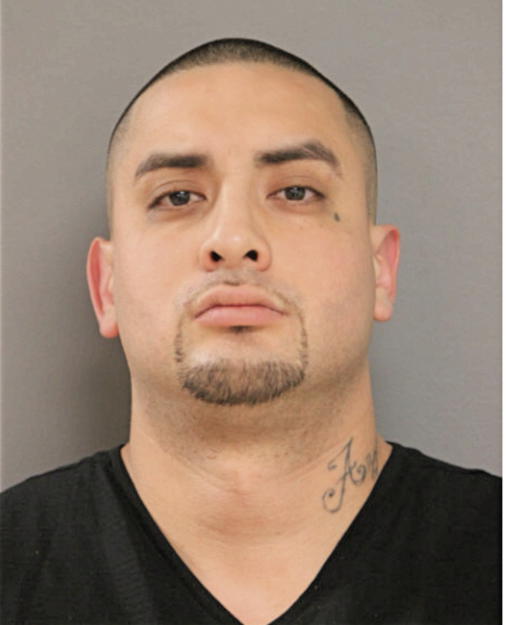 FRANCISCO J VILLAGOMEZ, Cook County, Illinois
