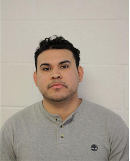 CARLOS NMI ALVAREZ-PATINO, Cook County, Illinois