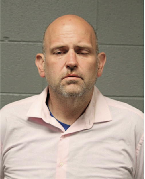 MICHAEL B ANDERSON, Cook County, Illinois