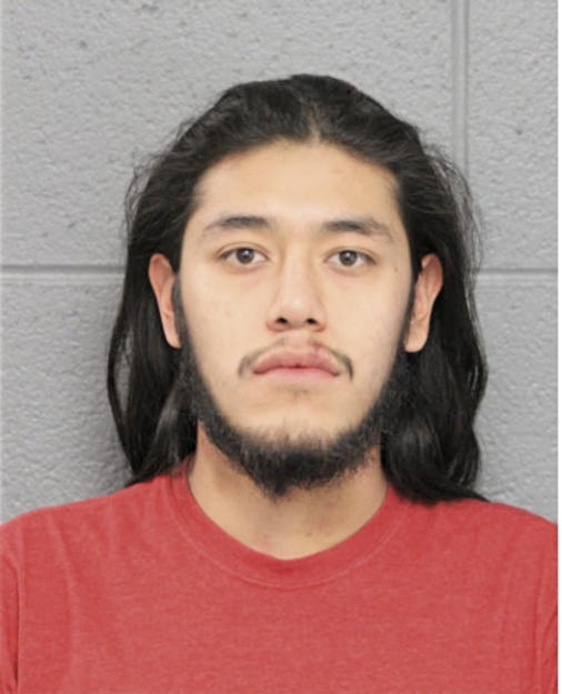 GUADALUPE J AVELAR, Cook County, Illinois