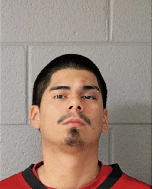 JAVIER AVINA, Cook County, Illinois