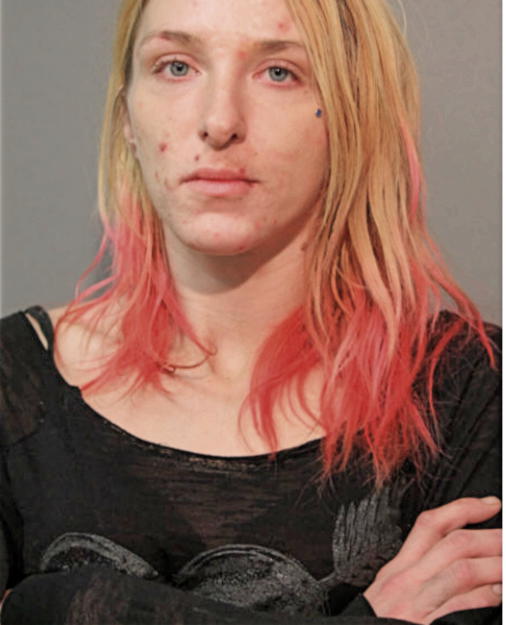 HALEY A BRINK, Cook County, Illinois