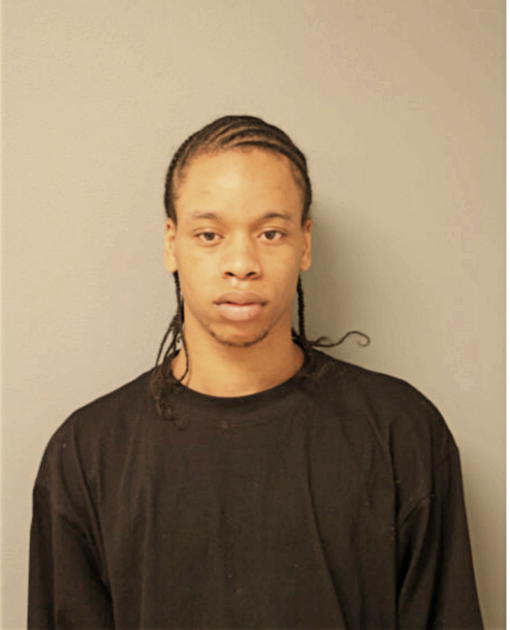 DARNELL M BROWN, Cook County, Illinois