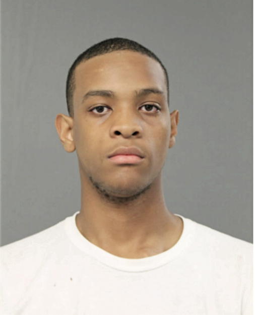 CHARLES J HAYNES, Cook County, Illinois