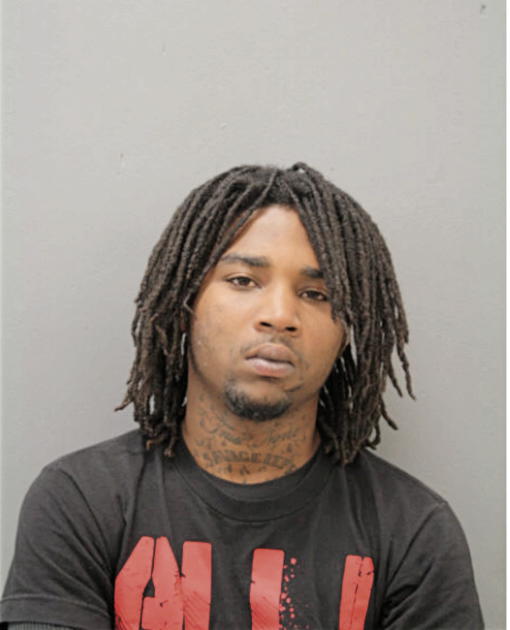 SAVON L HOLLIS, Cook County, Illinois