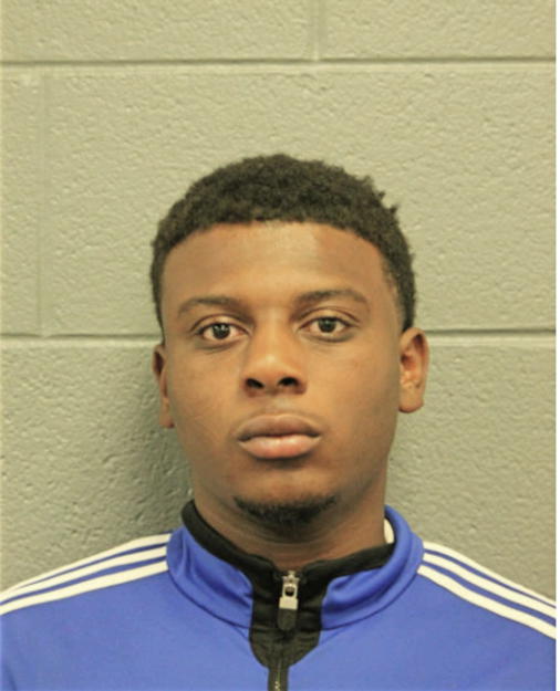 JOHNNIE L JOHNSON, Cook County, Illinois