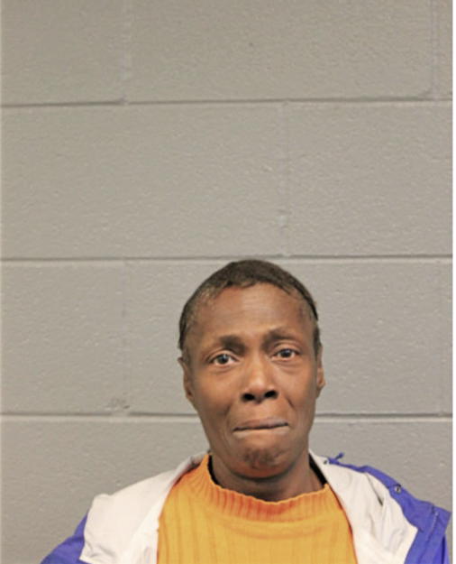 LISA R JOHNSON, Cook County, Illinois