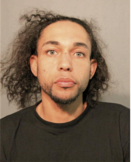 SHAHEED ANTHONY JOHNSON, Cook County, Illinois