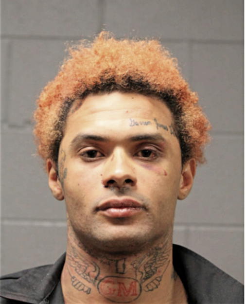 GARREN J MCLEAN, Cook County, Illinois