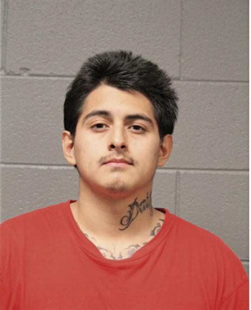 ROBERT J MENDEZ, Cook County, Illinois