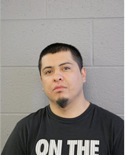 JUAN CARLOS MERAZ, Cook County, Illinois