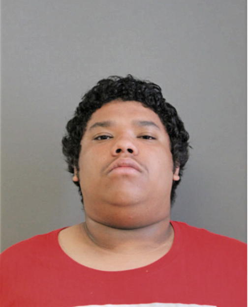 DARIUS ORTIZ, Cook County, Illinois