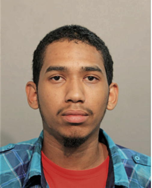 ERWIN PEREZ, Cook County, Illinois