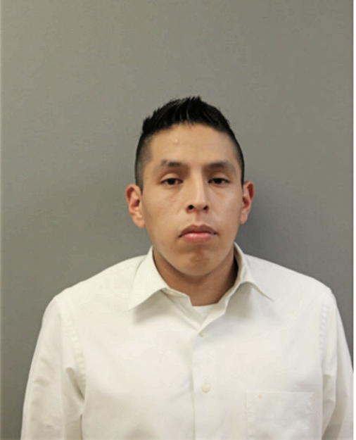 LUIS M ROMERO, Cook County, Illinois