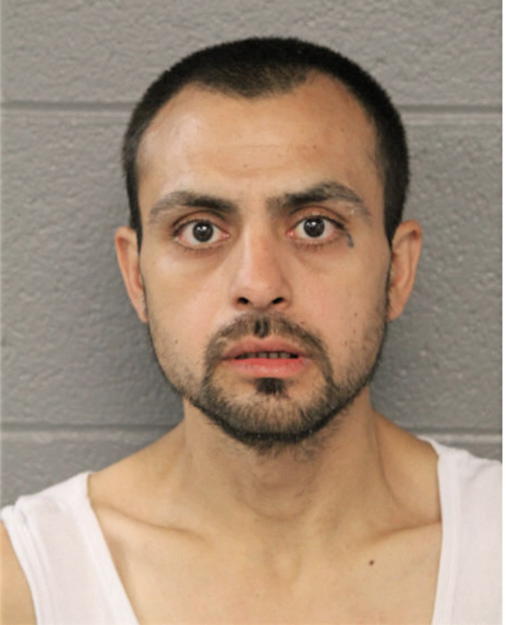 ARTURO RUIZ, Cook County, Illinois