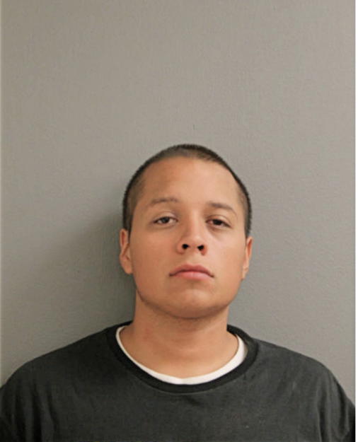 ERIK SOSA, Cook County, Illinois
