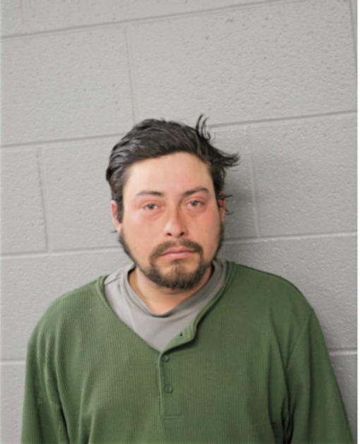 RENE VIDERIQUE, Cook County, Illinois