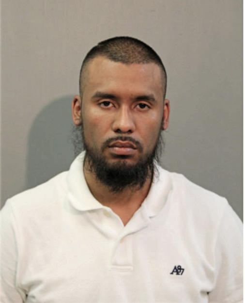 ALAEXIS ZAMORA, Cook County, Illinois