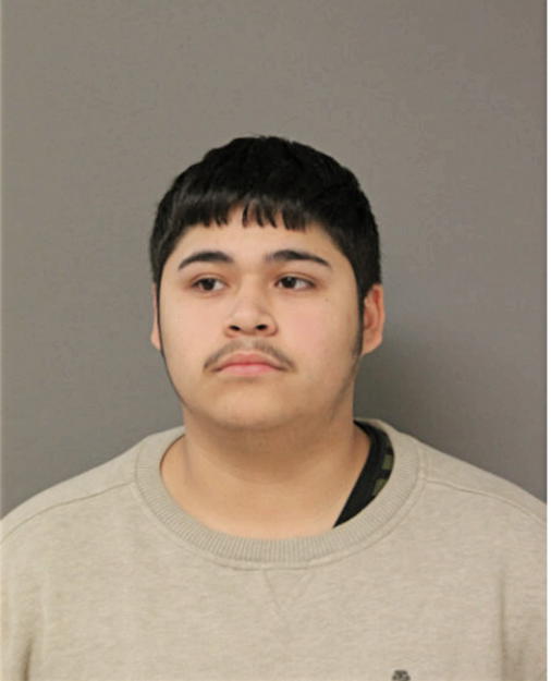 SAUL ZETINA, Cook County, Illinois