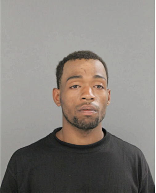 TYVON L BIRTH, Cook County, Illinois