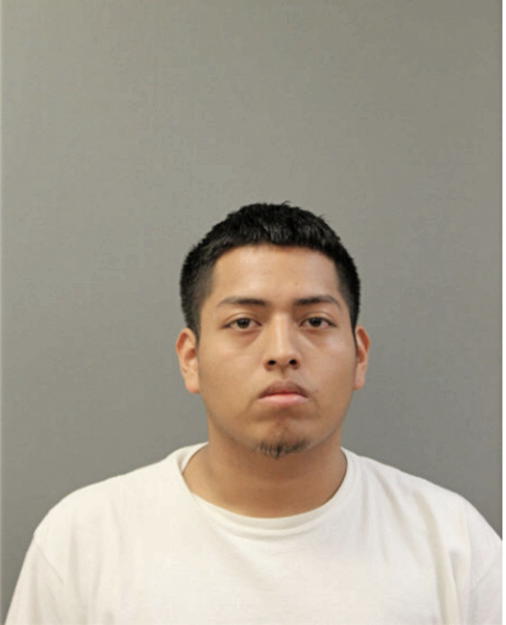 ALEXANDER CARRERA, Cook County, Illinois