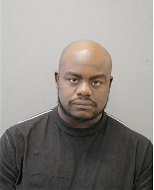 PATRICK L FALLIE, Cook County, Illinois