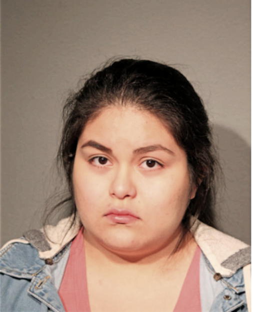 DIANA A GALVAN, Cook County, Illinois
