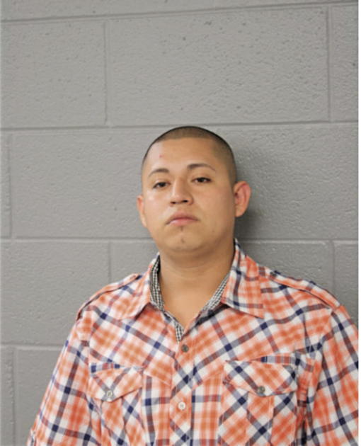 ELIAS GONZALEZ, Cook County, Illinois