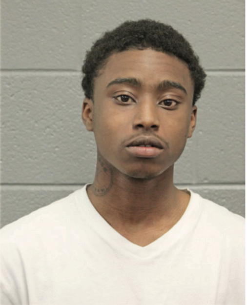 KAMAREE V GREEN, Cook County, Illinois