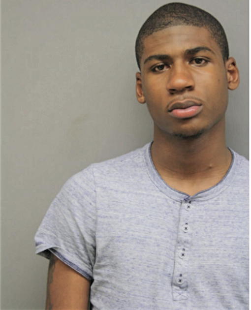 JOSHUA J HENDERSON, Cook County, Illinois