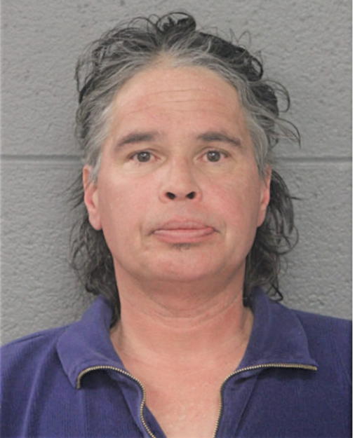 THOMAS P IBARRA, Cook County, Illinois