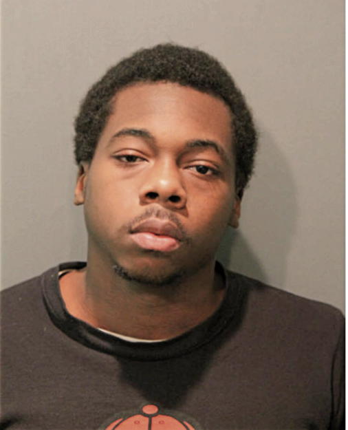 ALLAN C JOHNSON, Cook County, Illinois