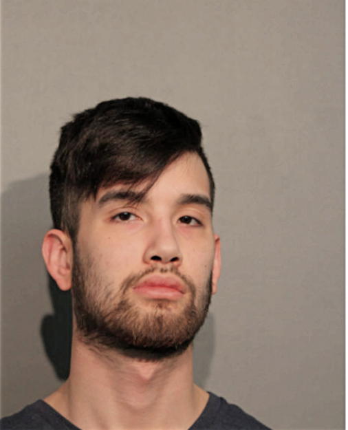 MINH H LAM, Cook County, Illinois