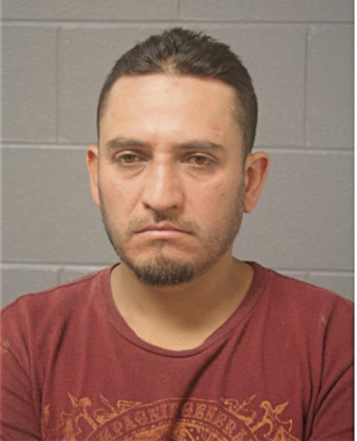 JORGE LANDA, Cook County, Illinois
