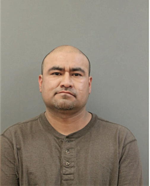 REYNALDO LUNA, Cook County, Illinois