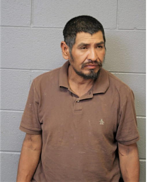 JAVIER MARTINEZ, Cook County, Illinois