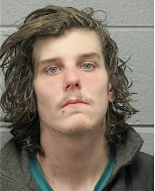 TYLER MCCARTNEY, Cook County, Illinois