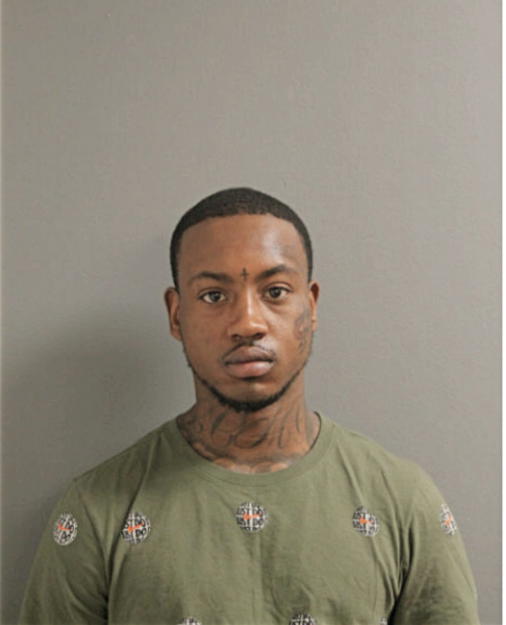 JAMES L MCCLINTON, Cook County, Illinois