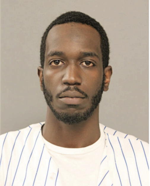 JUSTIN M MITCHELL, Cook County, Illinois
