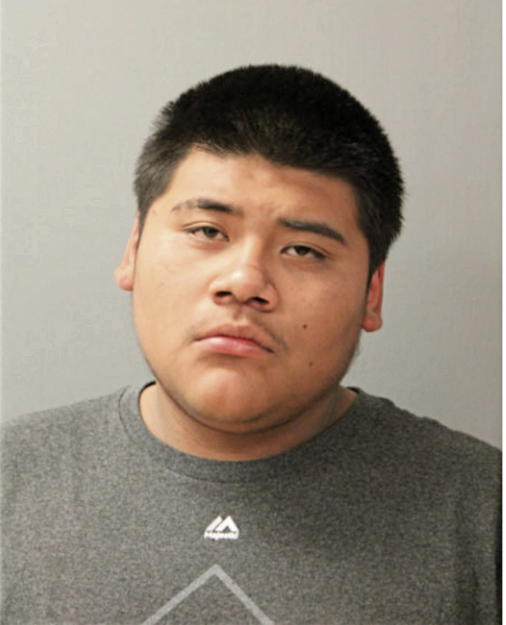 DAMIAN REYES, Cook County, Illinois