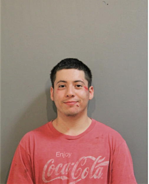 ERIBERTO C RICO, Cook County, Illinois